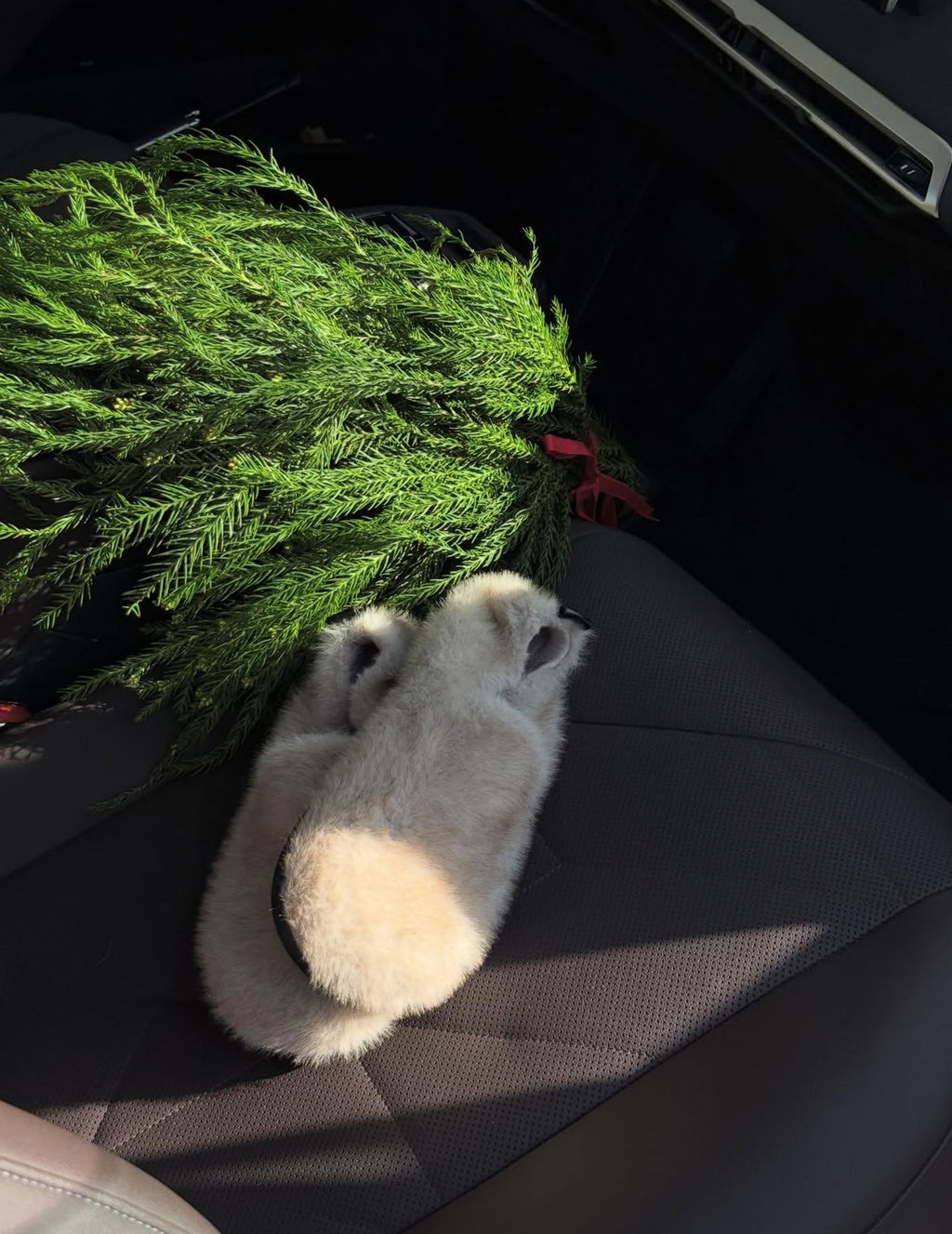 Ballerines POILLUES Beige