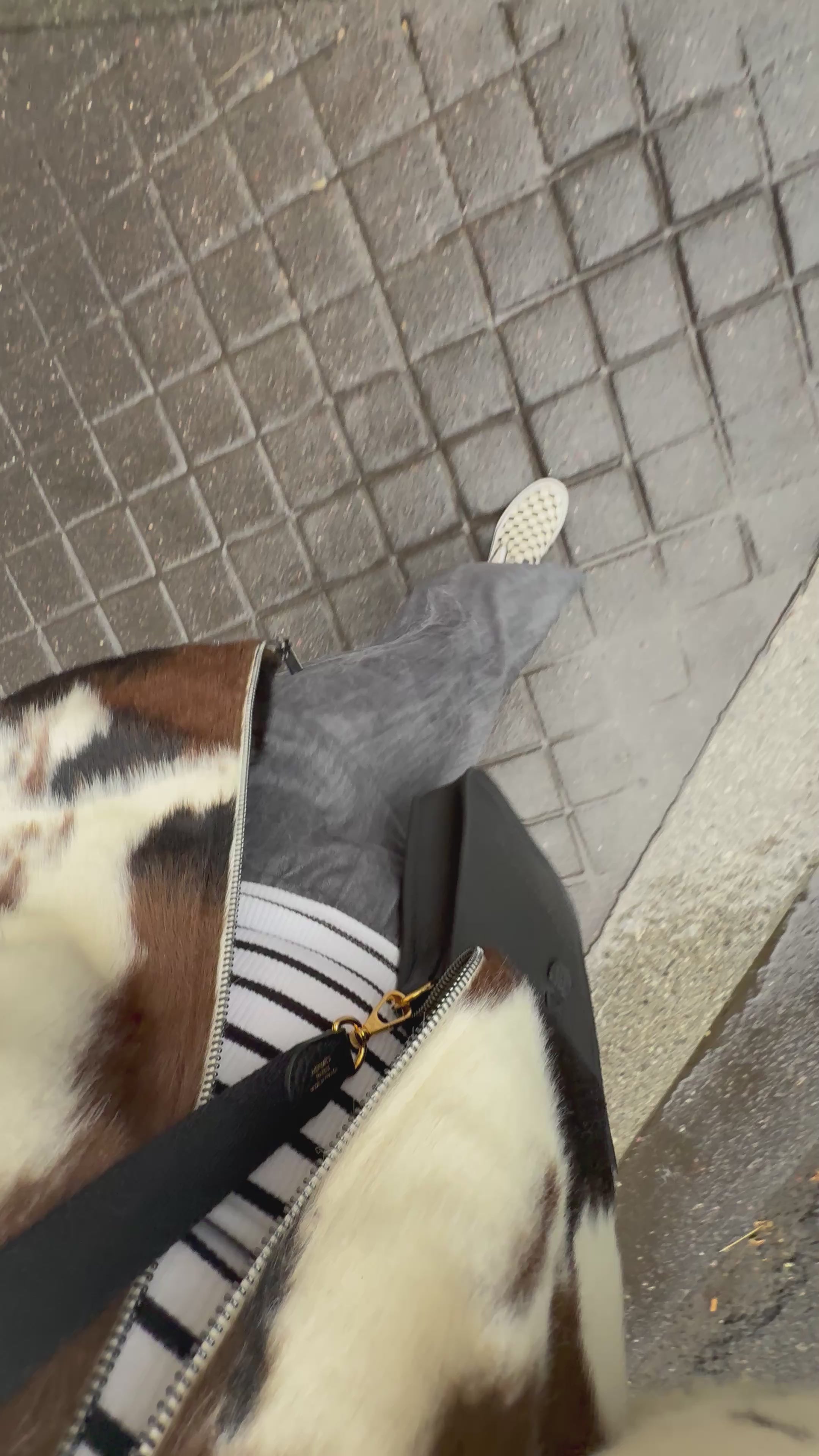 Veste VACHE